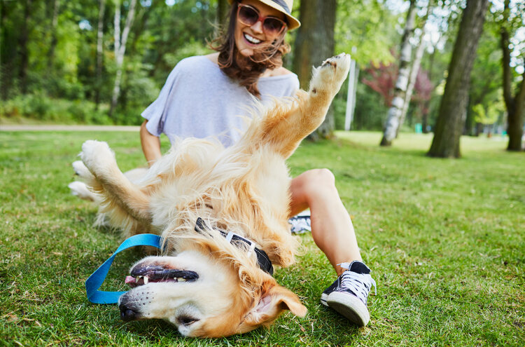 how-to-start-a-pet-sitting-business-nextdoor